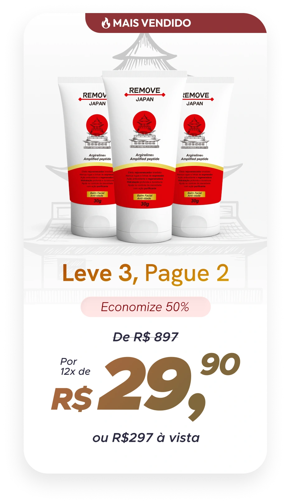 Kit 2 unidades Remove Japan